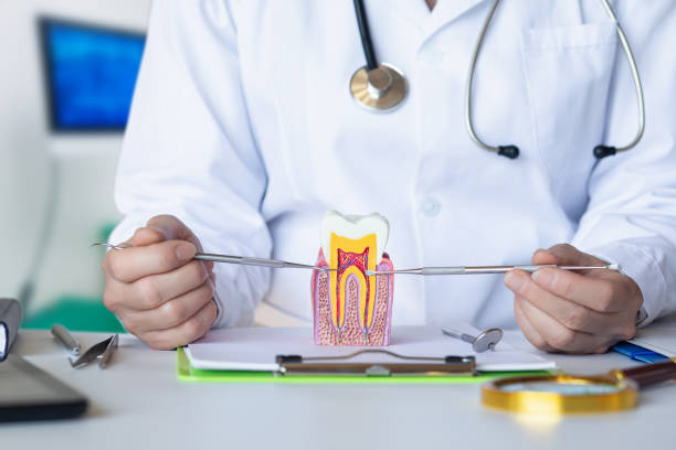 Best Emergency Treatment for Dental Infections or Abscesses in Spring Valley, NY